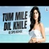 Tum Mile Dil Khile (Remix) DJ SPG